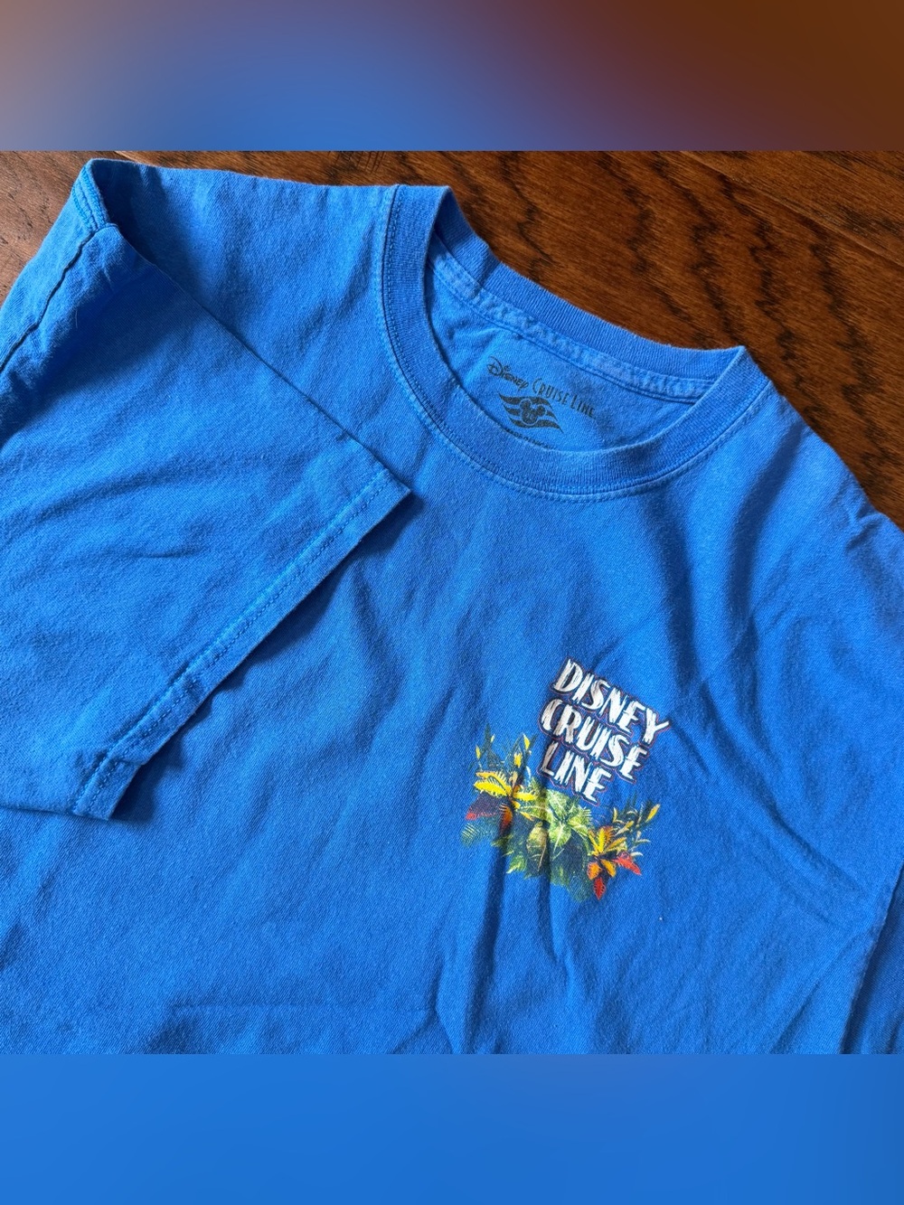 Disney Cruise Line Mickey in Paradise Castaway Cay T-shirt mens XL Blue